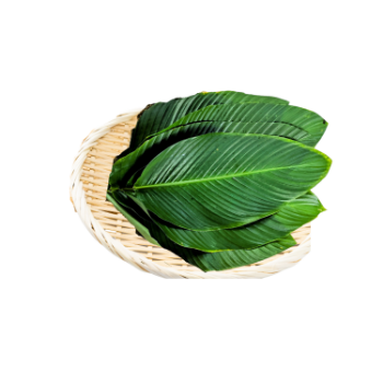 Dong Leaf For Wrapping And Decorating Food For Food Stuff Replace To Plastic Bag  Eco Friendly Biodegradable Supplier New Crop 4