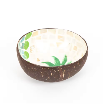 Coconut Shell Bowl Wholesale Tropical Smoothie Bowl best price made in Vietnam Manufacturer 3