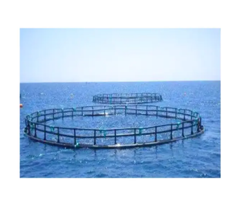Hdpe Fish Cage Bracket Cheap Price Durable Aquaculture And Seafood Farms Floating Round Cage Custom Designs Vietnam Manufacturer 1