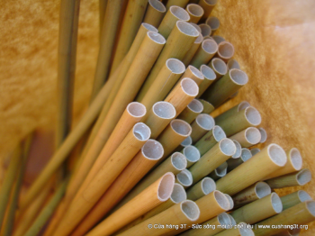 Biodegradable 25CM Raw Bamboo Straws OEM Custom Service 8mm 12mm Disposable Drinking Straws Reusable made in vietnam 1