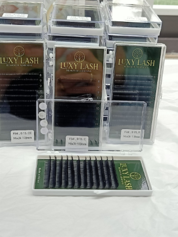 High Quality Classic easy fan eyelash extensions Reasonable Price Handmade using for beauty pack in tray or box from Vietnam Manufacturer 8