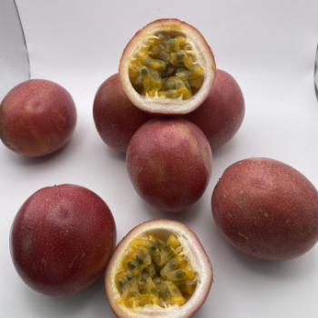 Passion Fruit Plant For Sale Fast Delivery Natural Fresh Organic Passion Fruits Making Juice Cakes Fresh Fruit Packaging Box VietNam Manufacture 6