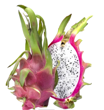 Fresh White Dragon Fruit Competitive Price No Preservatives Using For Food Export Customized Packing From Vietnam Manufacturer 4