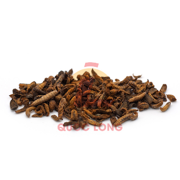 Black Soldier Fly Larvae Dried Fast Delivery Export Animal Feed High Protein Customized Packaging Vietnam Manufacturer 8