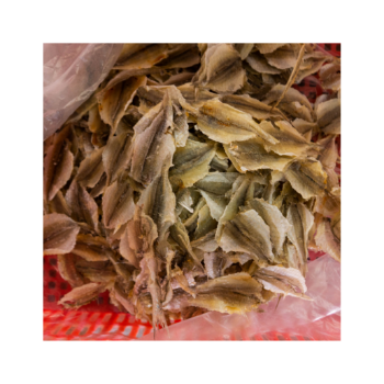 Dried Fish From Viet Nam Yellow Croaker Fish Cheap Price Export Ly Huynh Tasty Vacuum Pack From Vietnam Manufacturer 7