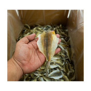 Stock Fish Dried Cod Norway Yellow Croaker Fish Cheap Price Export Ly Huynh Tasty Vacuum Pack Vietnam Manufacturer 7