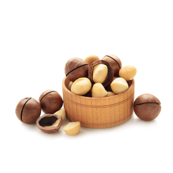 Premium Grade High Quality Macadamia Nuts With Shell Raw Organic Bulk Nuts Macadamia Nuts Wholesales From Vietnam Manufacturer 3