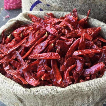 Chili Hot Pepper Spice Biggest Sale Super Spicy Fresh Chili Best Quality Organic Fresh Chili Export from Viet Nam 3