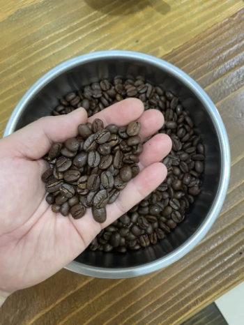 Arabica Roasted Whole Beans S18 Raw Coffee Beans For Sale First Class Wholesale Best Choice Natural Using For Making Food And Beverage 1