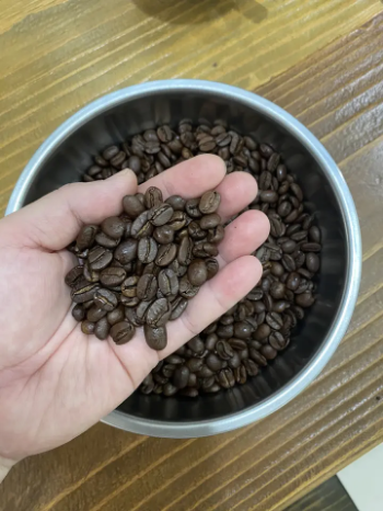 Arabica Roasted Whole Beans S18 Raw Coffee Beans For Sale First Class Wholesale Best Choice Natural Using For Making Food And Beverage