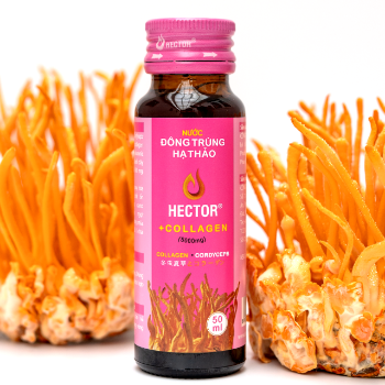 High Quality Cordyceps Drink Hector Collagen Beauty Collagen Supplements Collagen Serum Anti Aging Cordyceps Extract 5