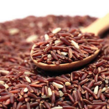 Vietnam Dragon Blood Rice Brown Rice Good Price High Dietary Benefits Using For Food HALAL BRCGS HACCP ISO 22000 Certification