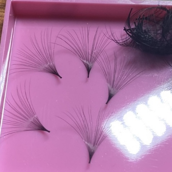 20D Hand Fan Thickness 0.03 Curvature (C, D) box of 500 fans mi extension tool fan Thuy Ha Eyelashes Extension OEM ODM Service  1