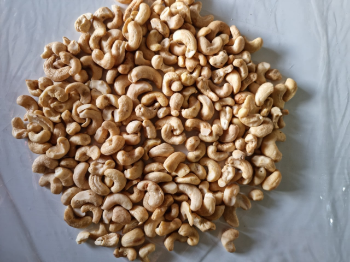 Raw Cashew Nuts Hot Selling Organic Nuts Using For Food Fresh Cashew Packaging Carton & Vacuum PE Vietnam Manufacturer 1