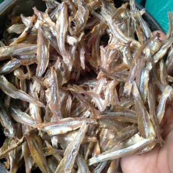 Hot Selling Dried Anchovy Fish For Exporting Dried Anchovy Factory Professional Production Bulk Dried Small Fish From Wholesale 6