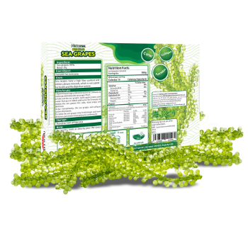 Seaweed 99% Fresh Fiber Supplement Collagen Mitasu Jsc Customized Packaging Vietnamese Manufacturer 2