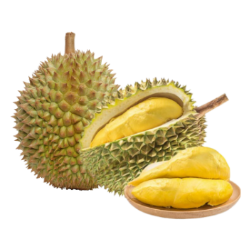 Durian Fresh Hot SellingTropical Fruit Using For many purposes TCVN packing in carton Asian Manufacturer 2