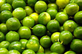 New Item Fresh Seedless Lime 100% Natural Organic Good For Health Packed In Box Made In Vietnam Manufacturer  5