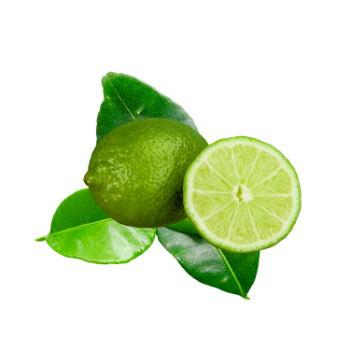 Fresh Lime OEM/ ODM Fresh Best Quality Tasty For Cooking Vinagreen Customized Packing Vietnam Manufacture 5