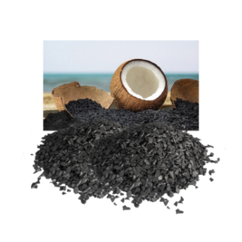 High Surface Active Carbon From Coconut Shell 2023 Fast Delivery High Power Water Purification Iso Vilas Iso Halal Gmp Trabaco 2