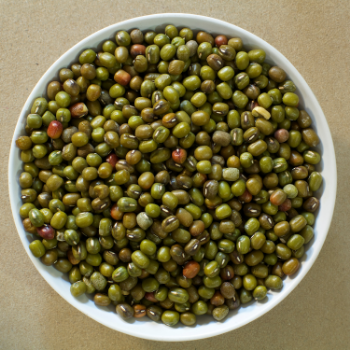 Wholesale Mung Bean Bean  Best Quality  Organic Using For Food Vinagreen Customized Packing From Vietnam Bulk 6