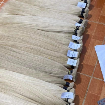 Bulk Hair Extensions Fast Delivery 100% Human Hair Virgin Raw Hair Machine Double Weft Genius Weft From Vietnam 4