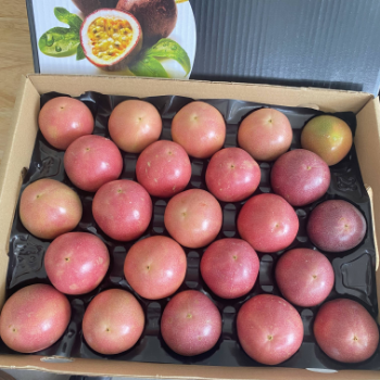 Passion Fruit Plant For Sale Fast Delivery Natural Fresh Organic Passion Fruits Making Juice Cakes Fresh Fruit Packaging Box Best Quality 4