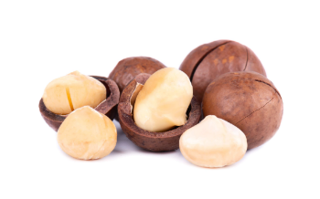 Macadamia Nuts With Shell Premium Grade High Quality Raw Organic Bulk Nuts Macadamia Nuts Wholesales From Vietnam Manufacturer 5