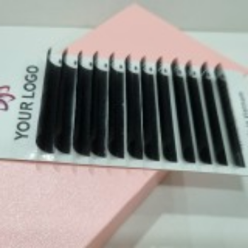 Hot Selling CAMELLIA Tray Eyelashes Semi-Hand Made Using For Personal Care Different Colors From Vietnam Manufacturer 2