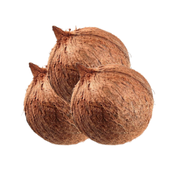 Wholesaler Dry Coconut Used As A Seasoning For Dishes 100% Dried Coconut Organic Packed In Box Made In Vietnam Manufacturer 3