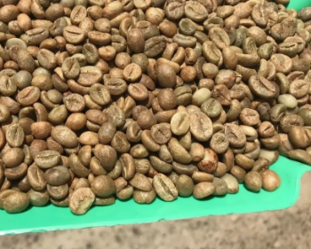 Robusta Coffee Grade 1 Coffee Beans Raw High Quality Purity Using For Making Food And Beverage No Additives Packed In Bag From Vietnam  2