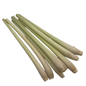 High Quality Lemongrass with HACCP Certificate Free Tax - Spices and Herbs Lemon Grass Best Price From VietNam 4