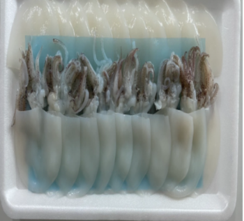 Squid Sugata Frozen Price Of Fresh Squid Reasonable Price New Using For Food Iso Pack In Foam Tray Made In Vietnam Manufacturer 3