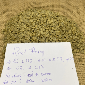 Green Robusta Coffee beans Vietnamese Robusta Green Coffee Beans Process Honey, S16, Grade A, Premium Quality, Single Origin 1