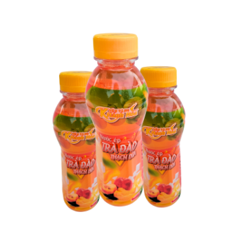 High Quality Coconut Jelly Peach Tea Juice Flavored Beverage Iso Packed In Box From Vietnam Factory 3