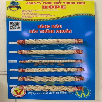 Rope 4 Strands High Quality 100% Natural Multifunction The Sail Customized Packaging Vietnam Manufacturer 7