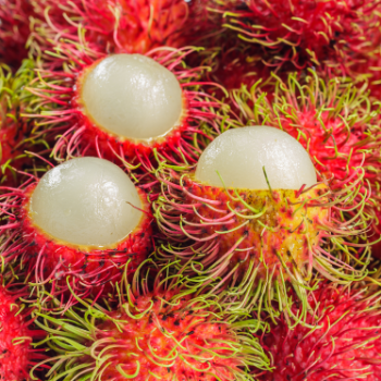 Frozen Rambutan Organic Fruits High Quality Nutritious Follow the Customer's Requirement from Vietnam Manufacturer 1