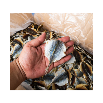 Custom Quick Dry Long Sleeve Fishing Dried Yellow Tail Scad Fish Good Quality Export Ly Huynh Tasty Vacuum Pack Made In Vietnam 7