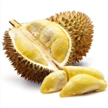 Fresh durian price Hot selling tropical fruit using for food packing in carton Made in Vietnam Manufacturer 3