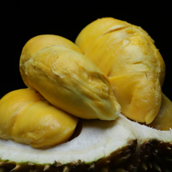 Frozen Durian Good Taste Top Sale Natural IQF Frozen Cheap OEM Sweet Bulk Style Storage Dice Packaging Weight 6