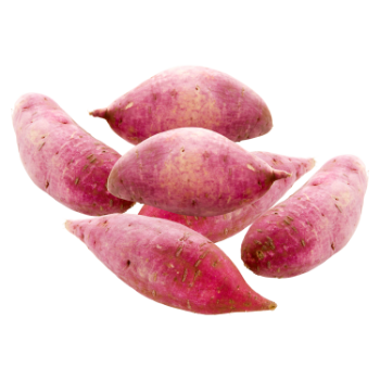 Sweet Potato Organic Wholesale Agricultural Products using for many purposes TCVN packing in carton Vietnam Manufacturer 3