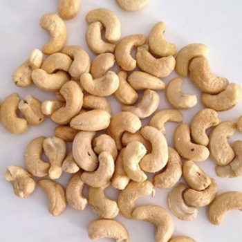 Roasted Cashew Nut Smells Good Professional Team Making Pie Whole Customizable Packing From Vietnam Manufacturer 1