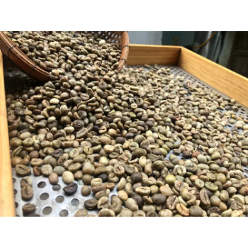 Raw Coffee Beans Robusta Coffee S18 - High ripening rate First Class Grade Good Price Natural No Preservatives From Vietnam Company 1