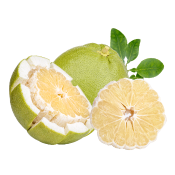 Fresh Fruit Pomelo Contact Vietnam Healthy Fresh Fruit Grapefruit Pomelo Grapefruit Best Quality From Vietnam Manufacturer 5