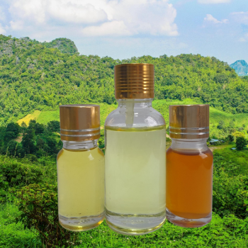 Wholesale Pure Natural Bottles Essential Oil New Gift Set for Air Diffuser Room Scent Relax Calm Vietnam 2024 5