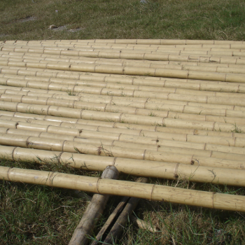 Packaging Custom Eco-Friendly Vietnam ODM OEM Service Bamboo Long Straight Pole For Decoration Good Price Raw Material Export Top Guaranteed Popular From Manufacturer 5