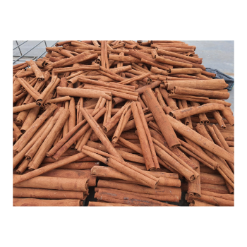 Wholesale Customized natural pure cinnamon polyphenols dried Ceylon cinnamon bulk bark Odm Service Natural Organic 4