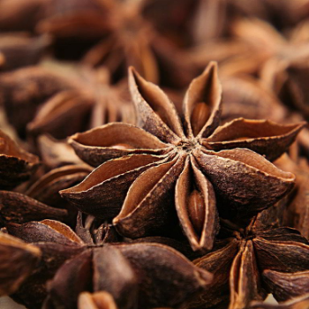 High Quality Autumn Dried Star Anise For Seasoning 100% Pure Star Anise High Quality Made In Vietnam Manufacturer Good Price 5