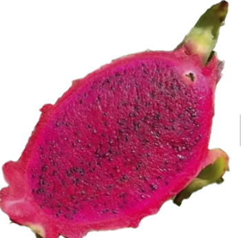 Tropical Fresh Red Dragon Fruit Wholesale No Preservatives For Dessert Export Carton Box Wooden Packaging Vietnam Manufacturer 1