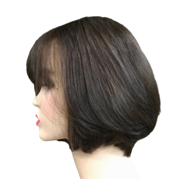 Vietnamese Colored 100% Human Hair Wig Color Hair Extensions Bone Straight No Tangle No Shedding